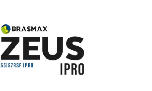 Brasmax Nexus I2X Dourados- MS 